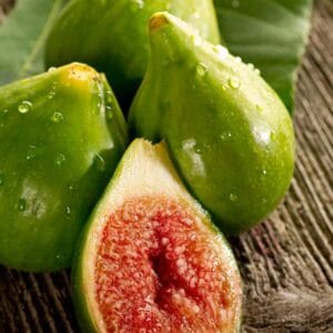 Sadnice Smokve Sadnice Smokve